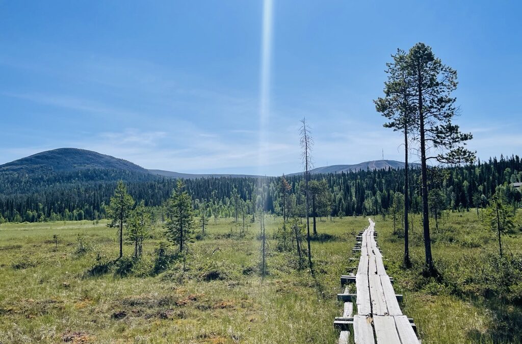 Myötätuntoinen valmennus