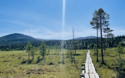 Myötätuntoinen valmennus